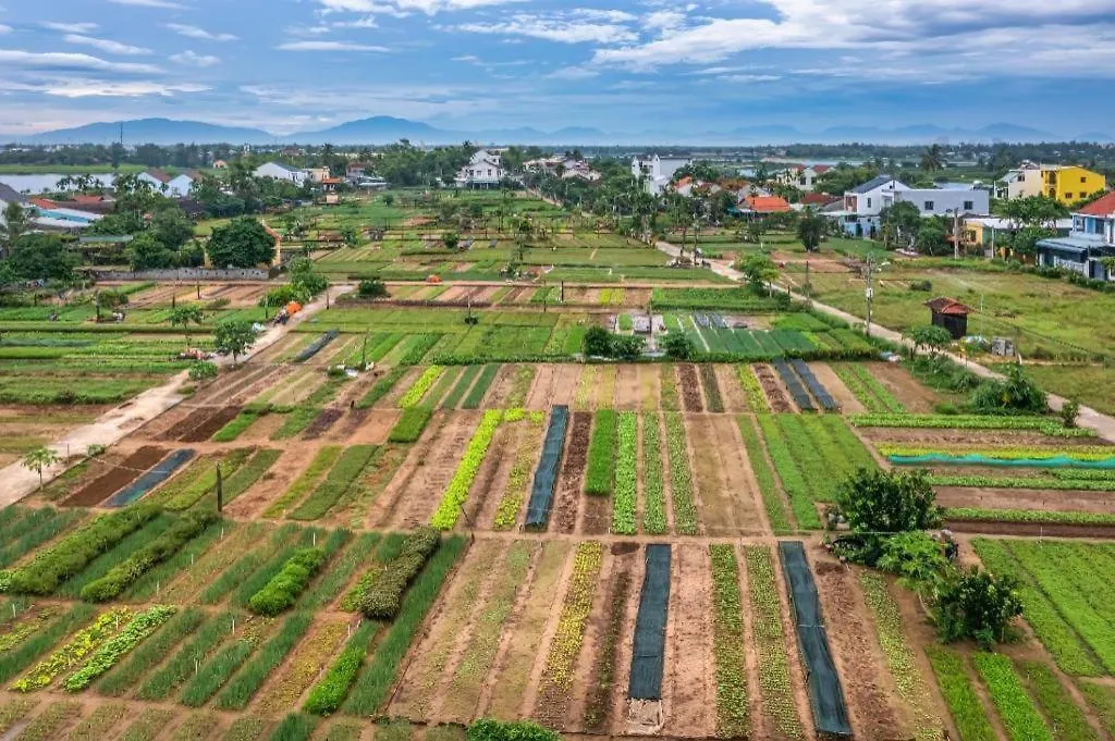 Joy Hoi An Homestay